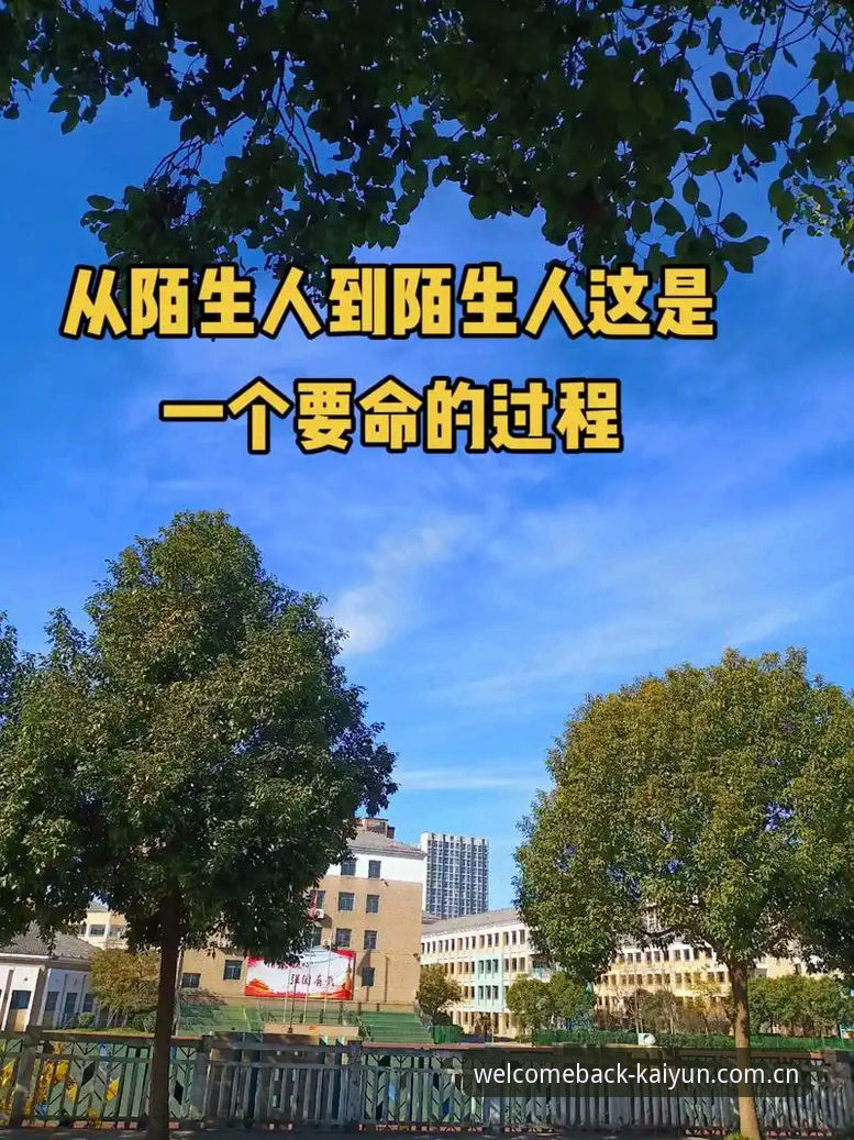 每次打开就像回到熟悉的那一页APP下载安装完整指南：从初代到最新版的进化之路
